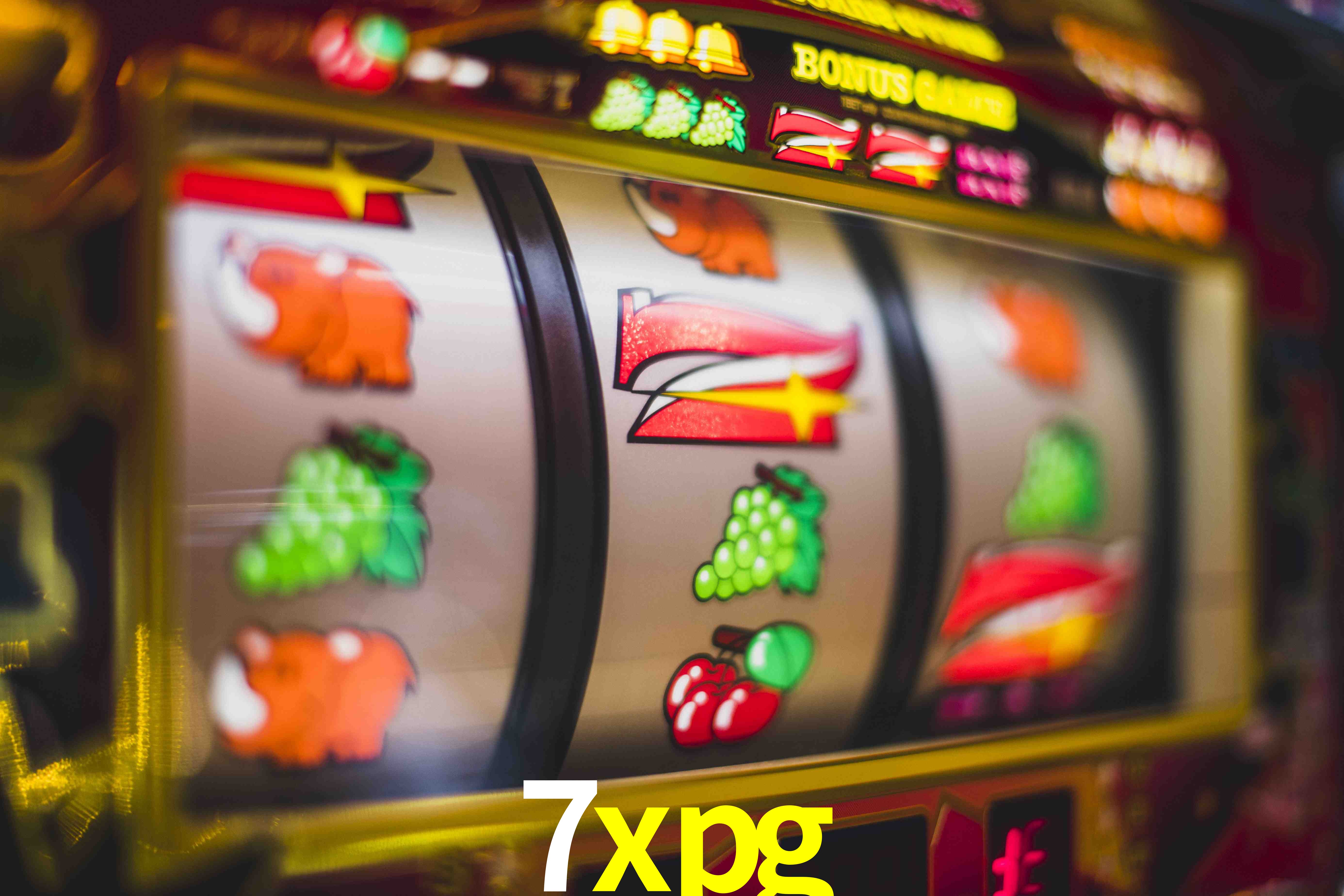 Sports Statistics 7xpg